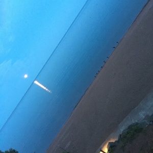 Meet your Posher, Madeleine